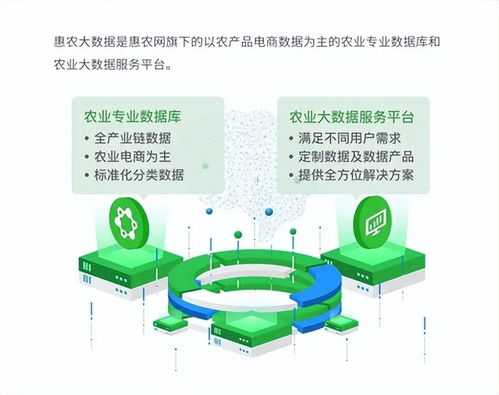 惠農網 數字化產業服務十年助農路，從追趕到超越的數字內容賦能之旅