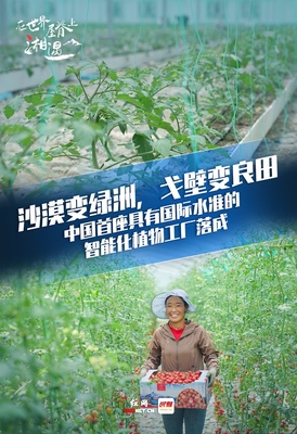 在世界屋脊湘遇丨湖南援藏又三年，高原會記得他們的故事 溫室